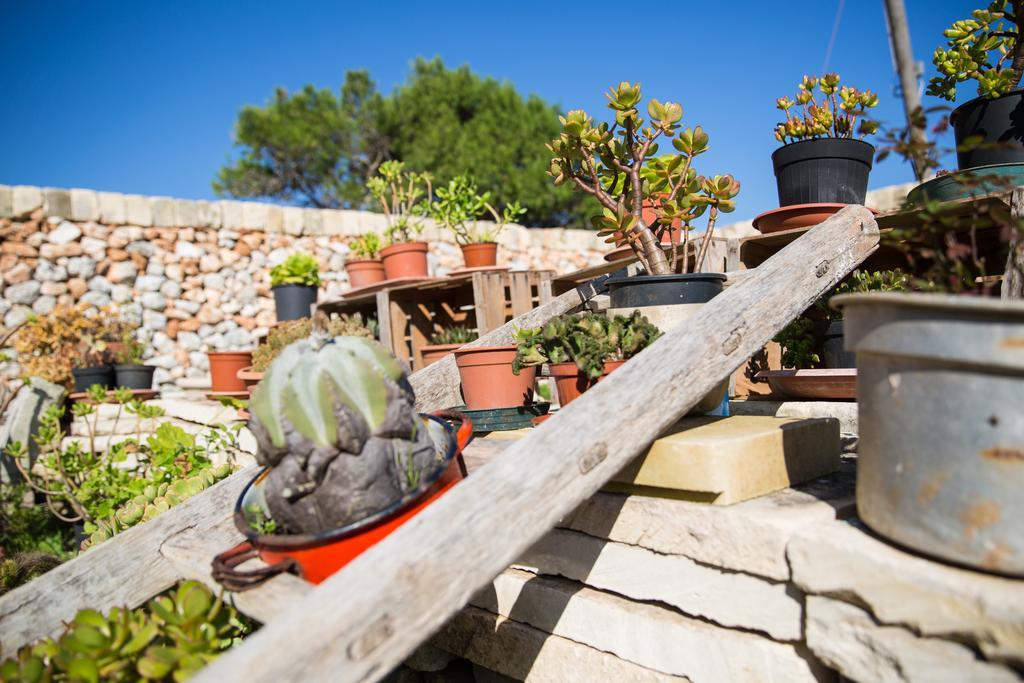 Agriturismo La Palascia Masseria Agreste Otranto Zimmer foto
